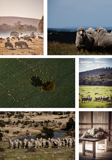 Provenance Images