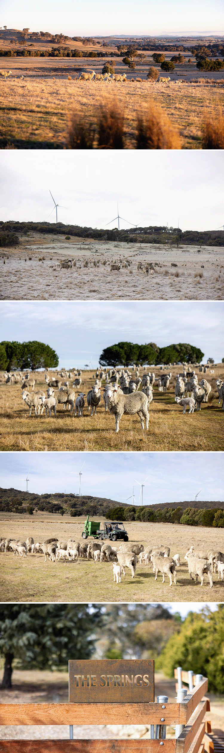 farmPhotos.png