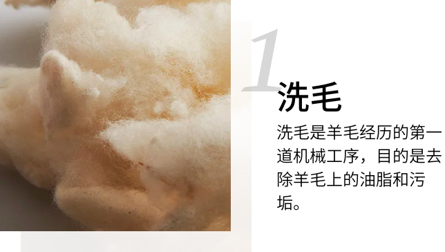 xi1.jpeg