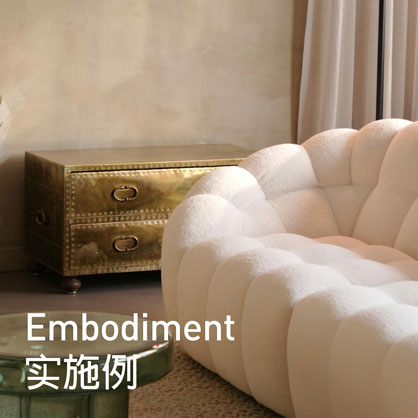 Embodiment